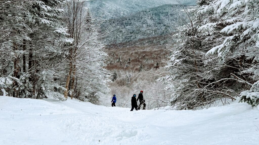 fd397ca4 0742 490f 9267 04c0046a368a