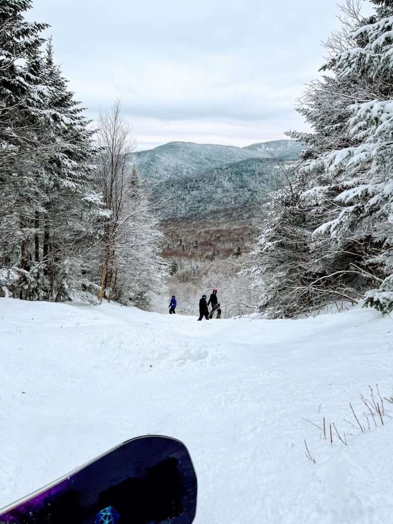 IMG 2181 EFFECTS 1 768x1024